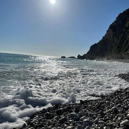 Apartments Villa Simonovic Petrovac Kültér fotó