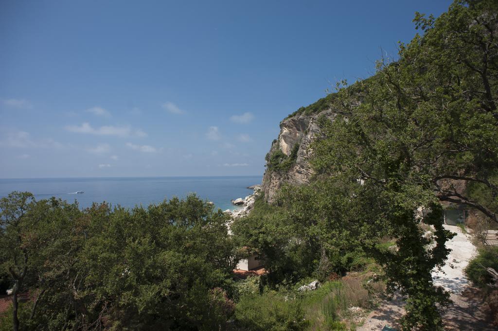 Apartments Villa Simonovic Petrovac Kültér fotó